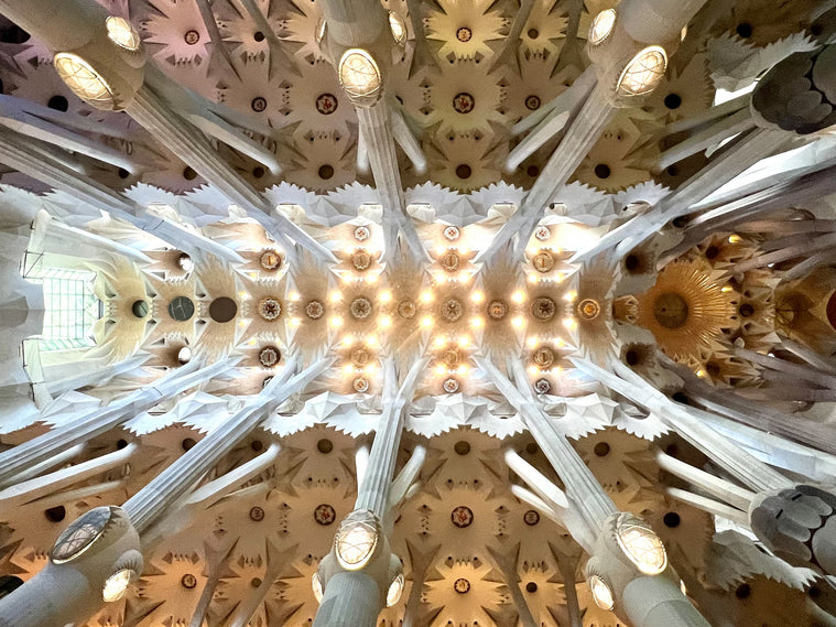 The Temple Nobody Paid For