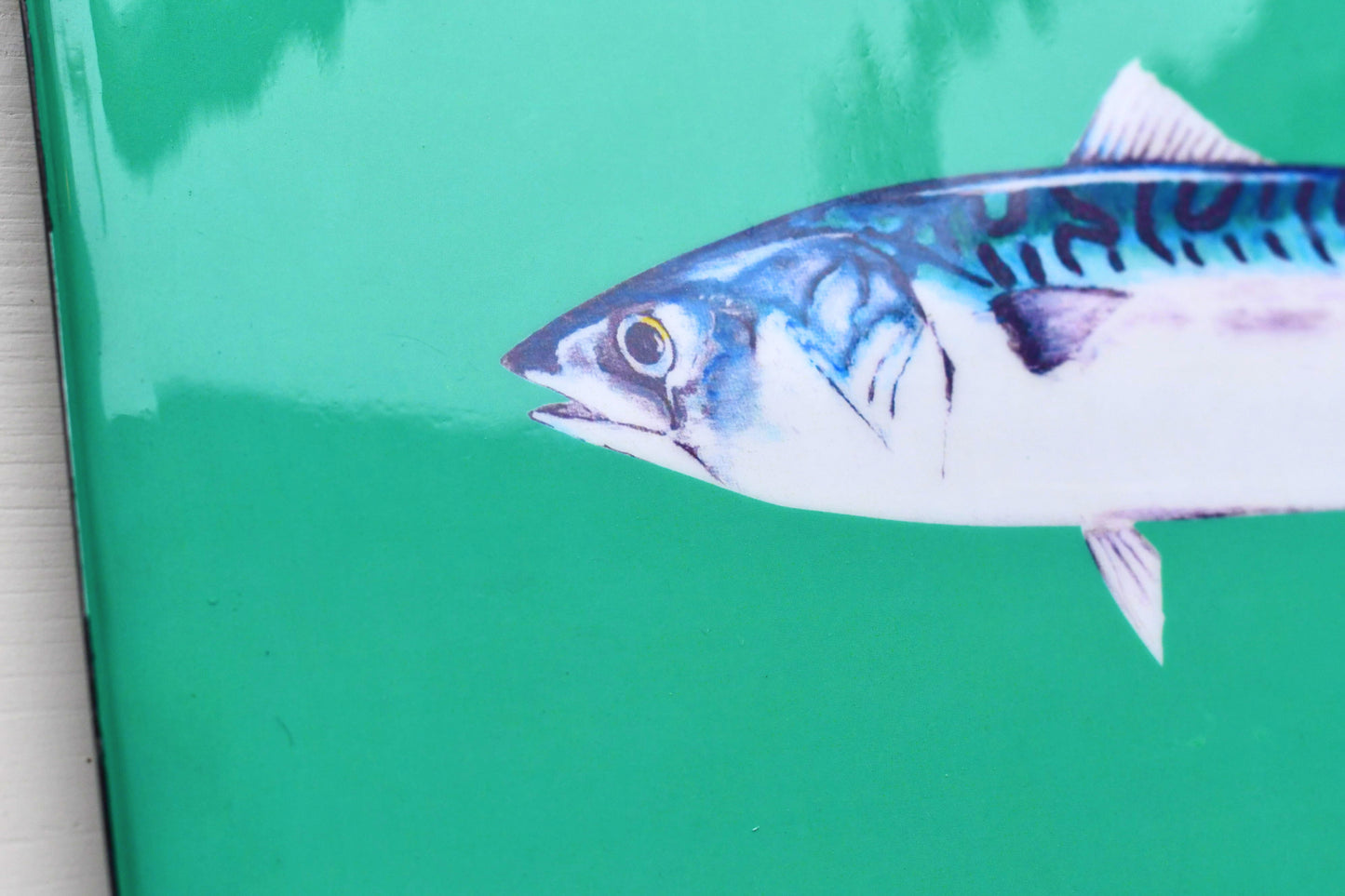 Enamelled Tray: The Mackeral