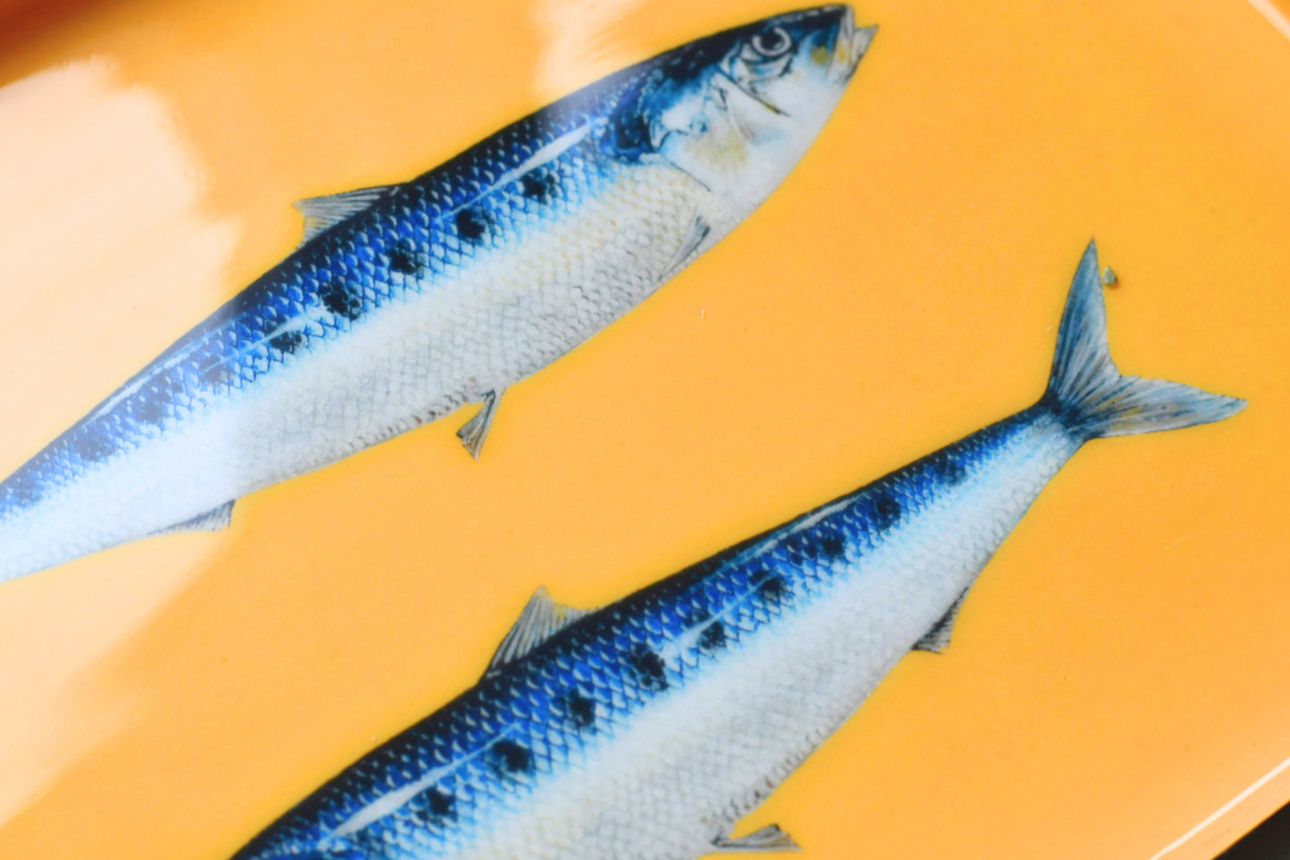 Enamelled Tray: Sardines
