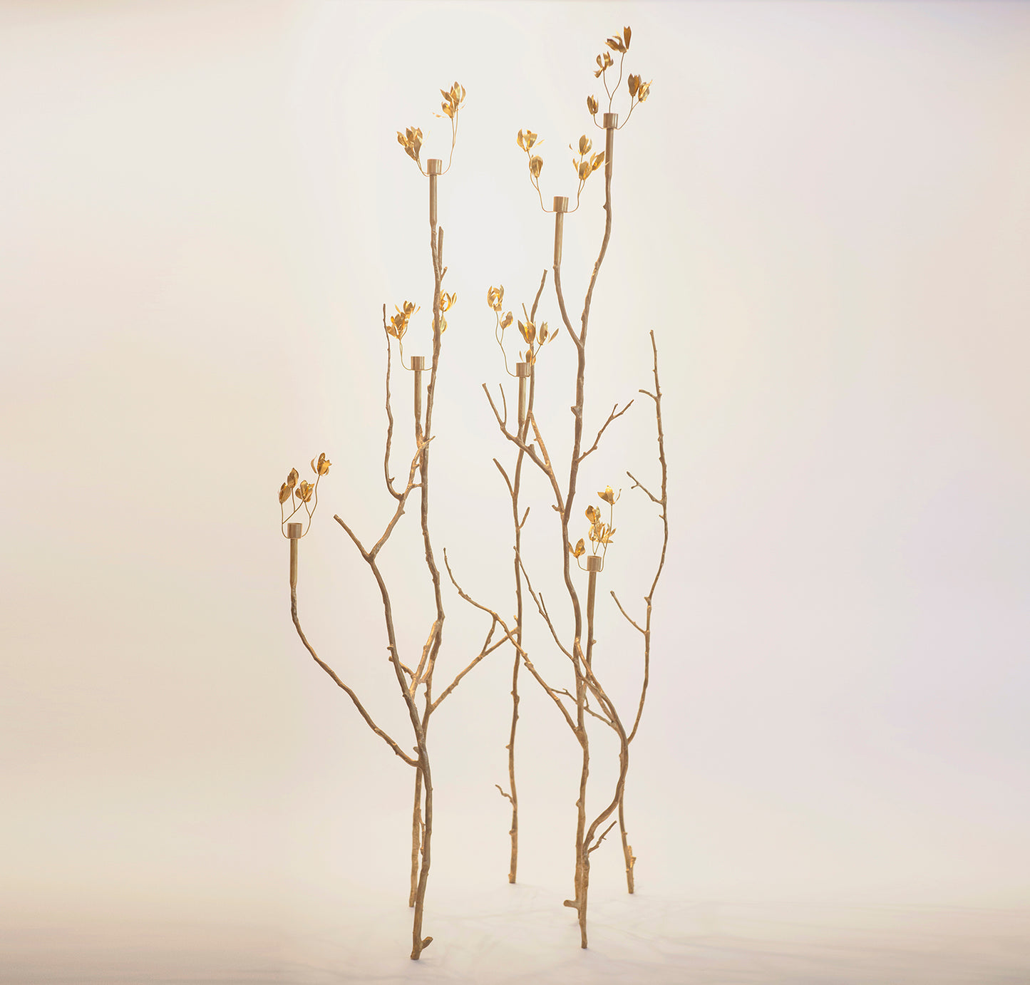 Soliflore: Vase and Candle Holder