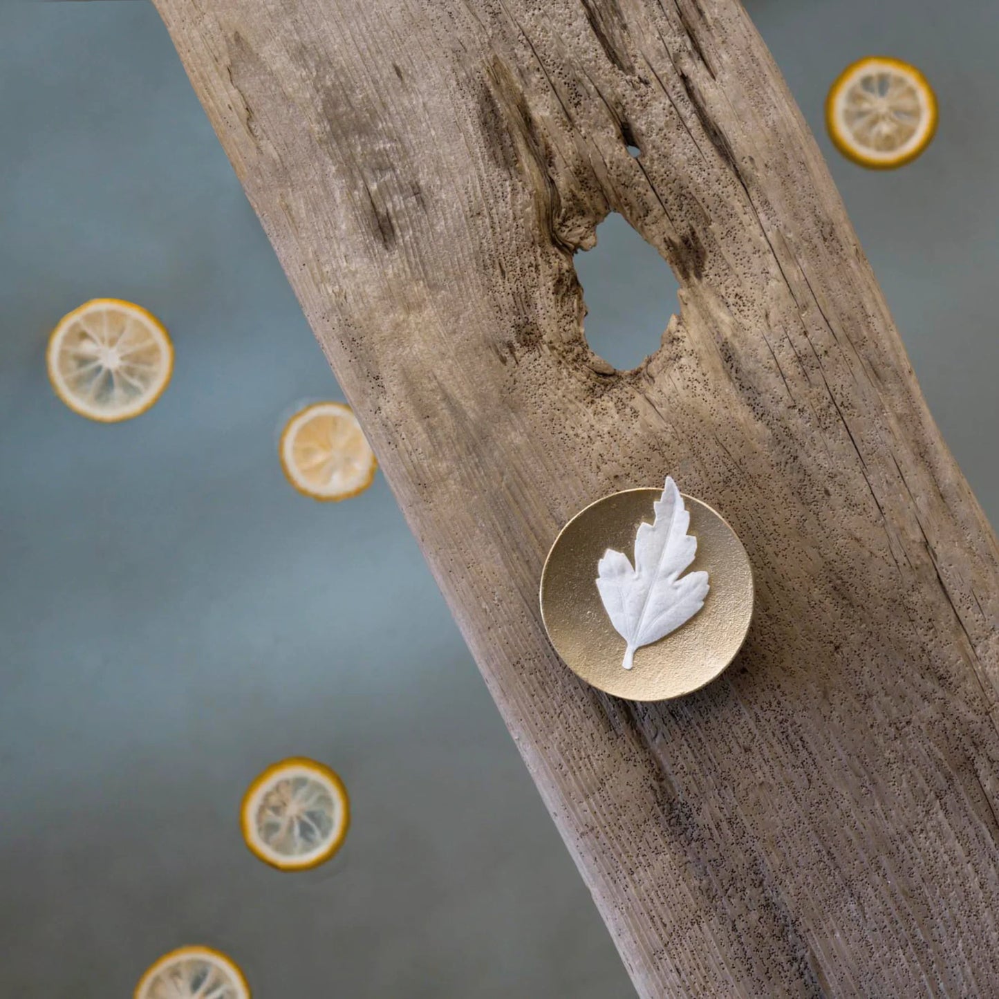 Leaf incense - Yuzu | Kunjudo