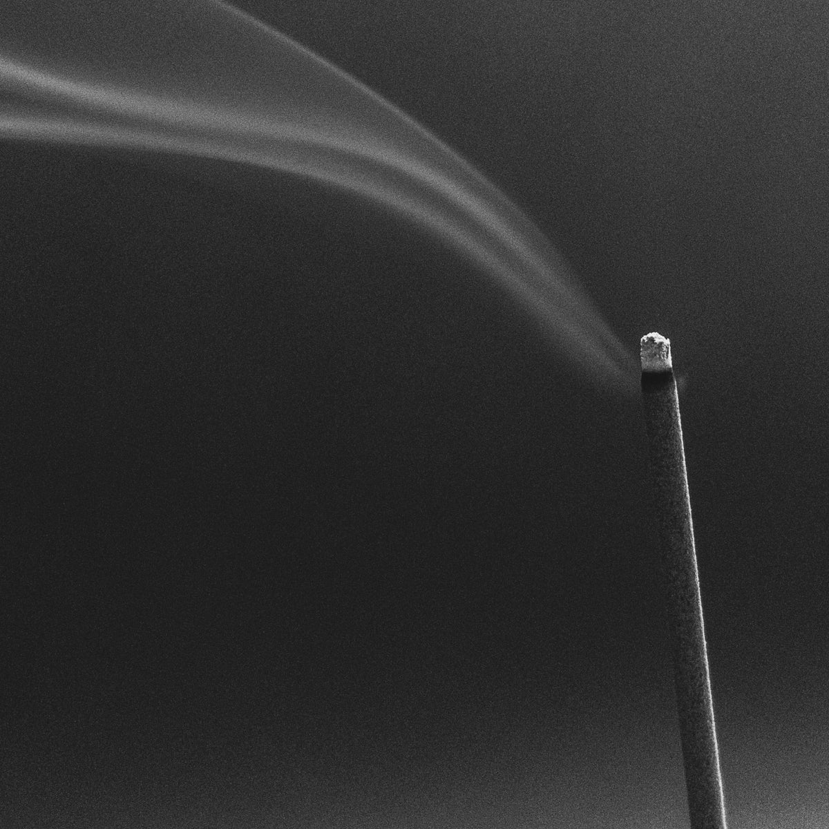 Sen Incense - Hinoki | Kunjudo